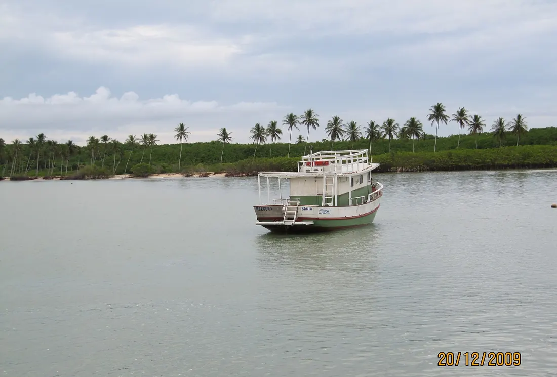 Barco no rio em Alcobaça, com coqueiros na margem